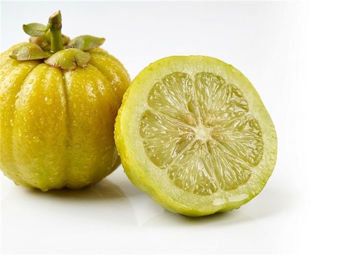 Owoc Garcinia cambogia brindle berry używany w żelkach Hinuki